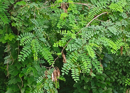 沈陽(yáng)崗位外包和沈陽(yáng)勞務(wù)外包的區(qū)別