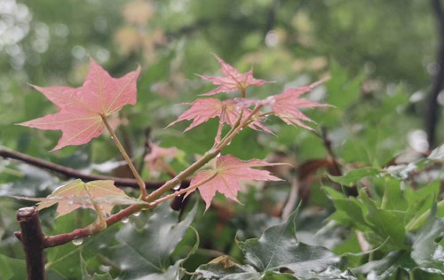 在職場上，長得好看，真的能當(dāng)飯吃嗎？為你揭秘拉開職場差距的真正原因?。?！