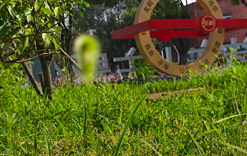 全國31省區(qū)市企退人員養(yǎng)老金調(diào)整到位