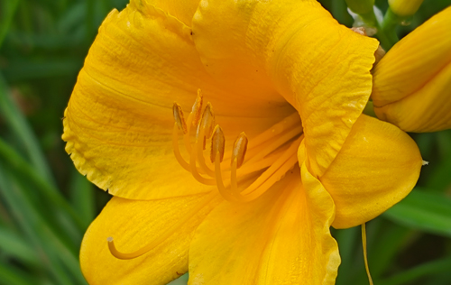 遼寧省機(jī)關(guān)事業(yè)單位為什么招聘這么多勞務(wù)派遣人員？