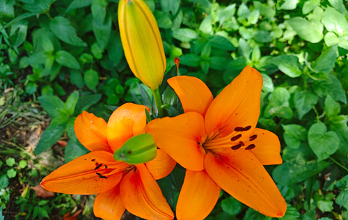 簽訂了無固定期限勞動合同卻被辭退，怎么辦？沈陽人事代理來幫忙