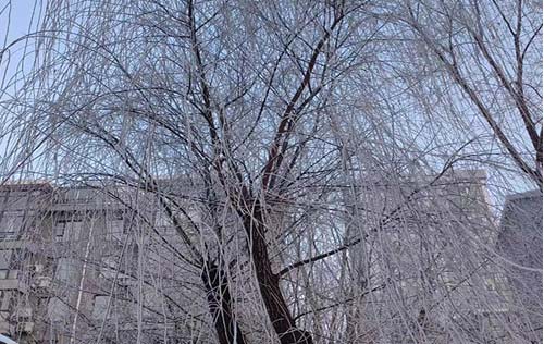 沈陽勞務(wù)外包公司解析:勞務(wù)外包中的注意事項(xiàng)