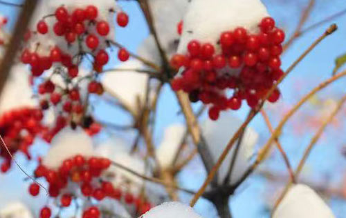 沈陽靈活用工有哪些優(yōu)勢？