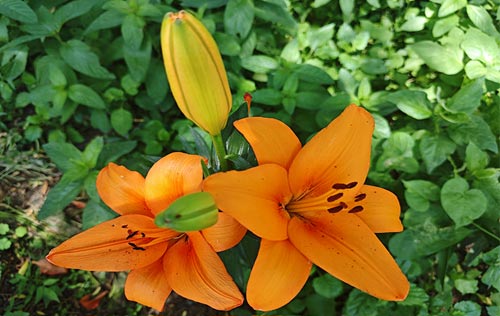 沈陽人事代理公司解讀人事代辦服務(wù)