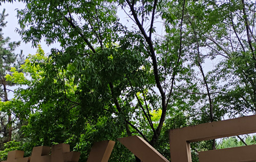 沈陽人事代理服務(wù)：簡化人力資源管理的秘訣